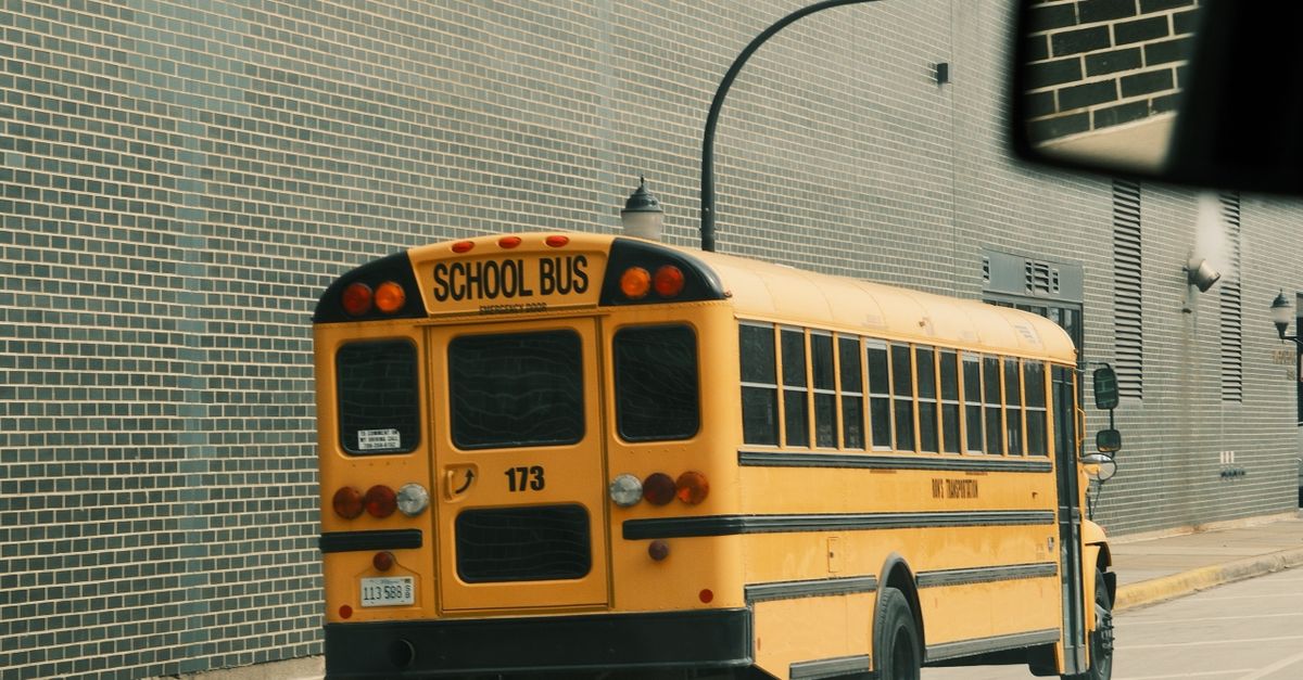 How Marrickville Driving School Changed My Perspective on Learning
